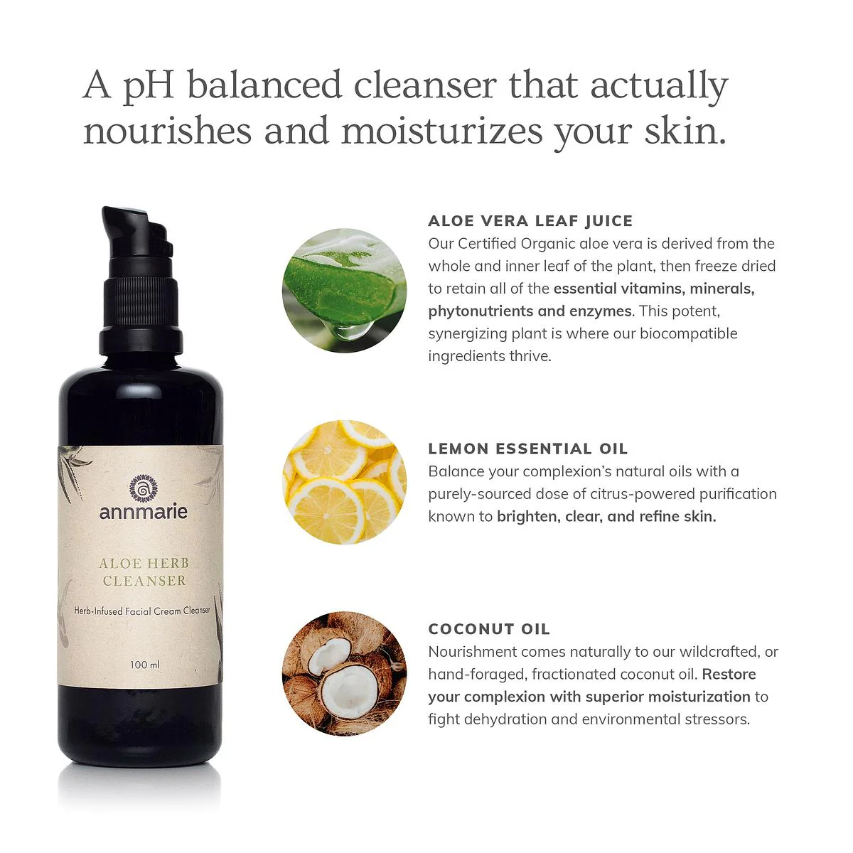 Annmarie Skin Care Aloe Herb Cleanser (100ml) - Image 6