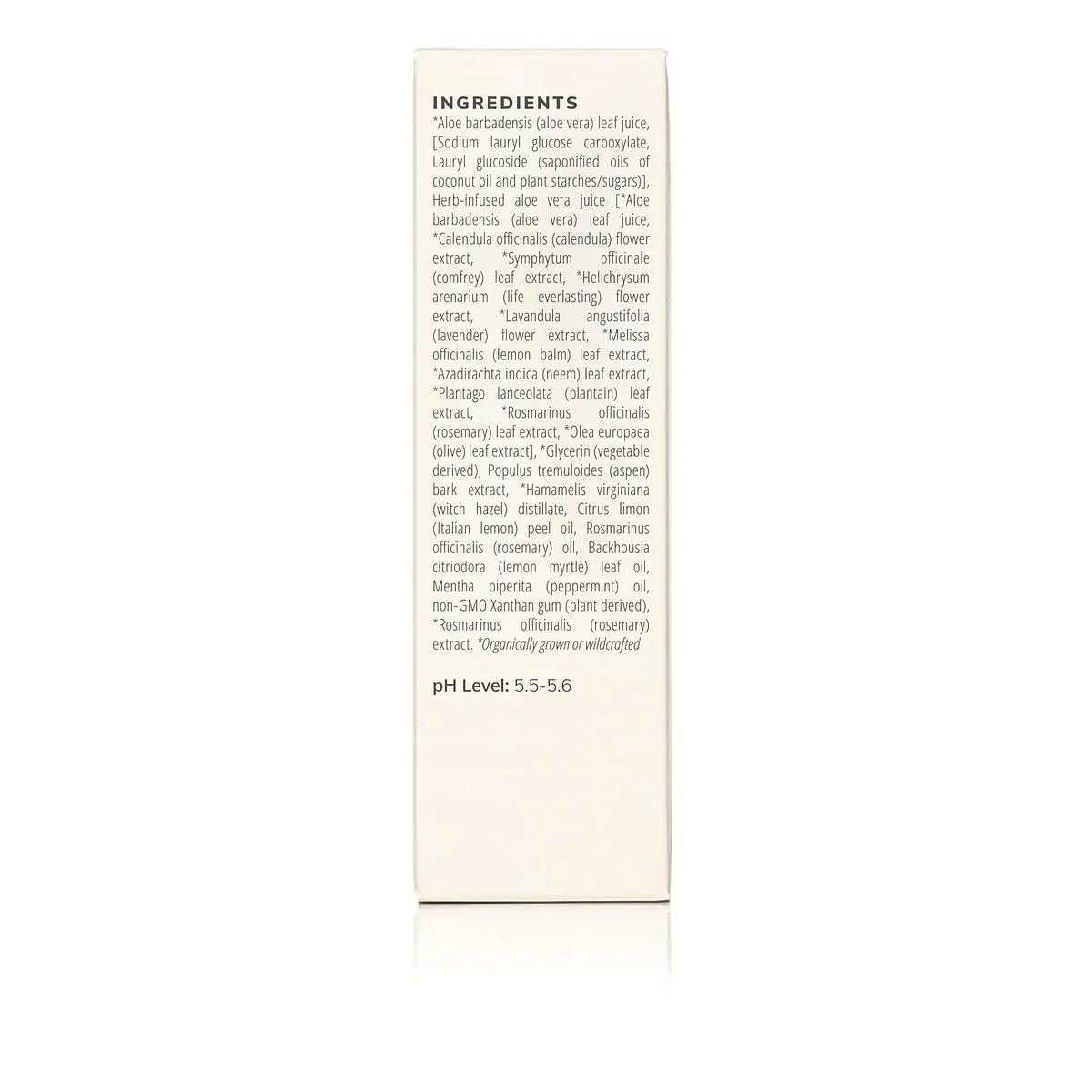 Annmarie Skin Care Citrus Mint Cleanser (100ml) - Image 4