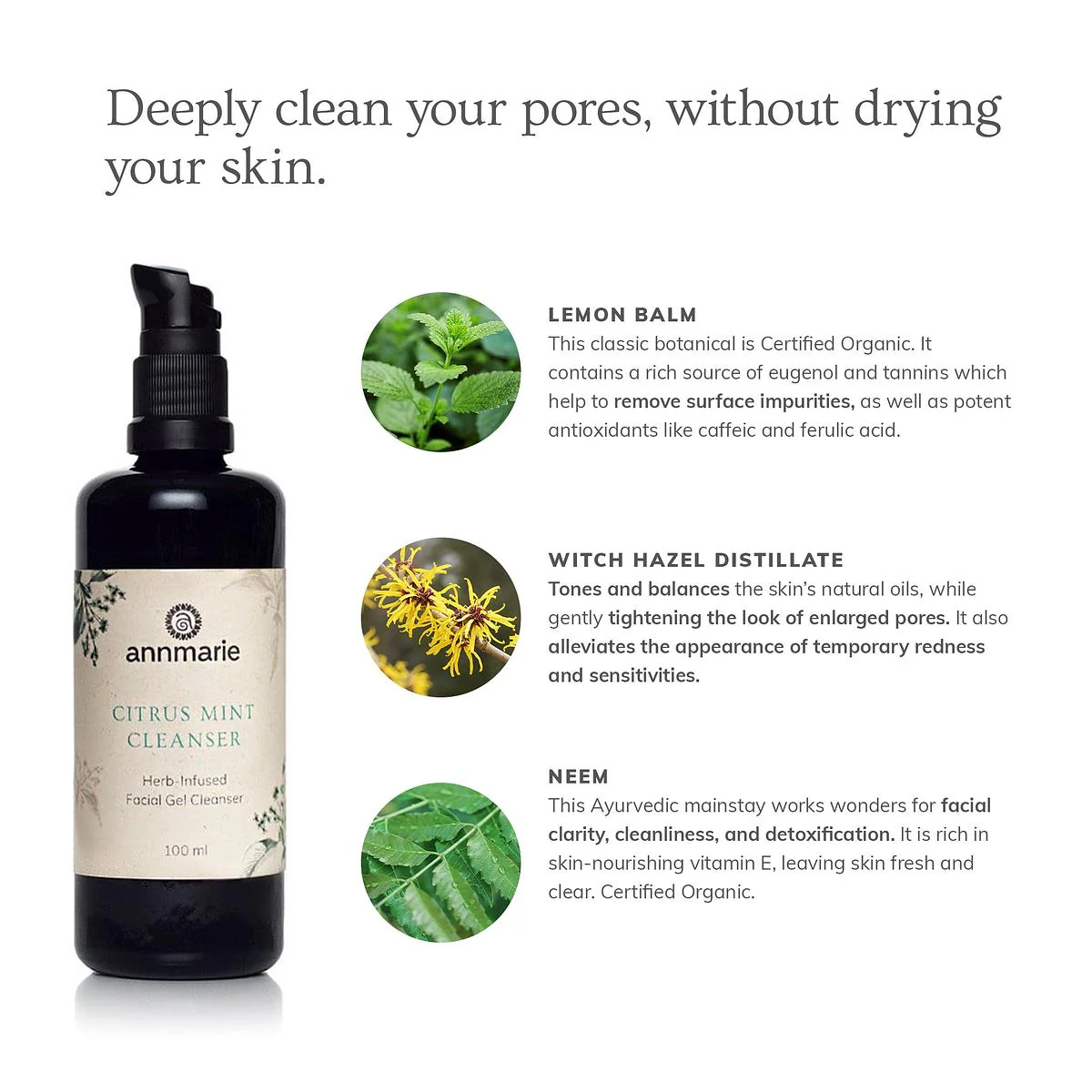 Annmarie Skin Care Citrus Mint Cleanser (100ml) - Image 5