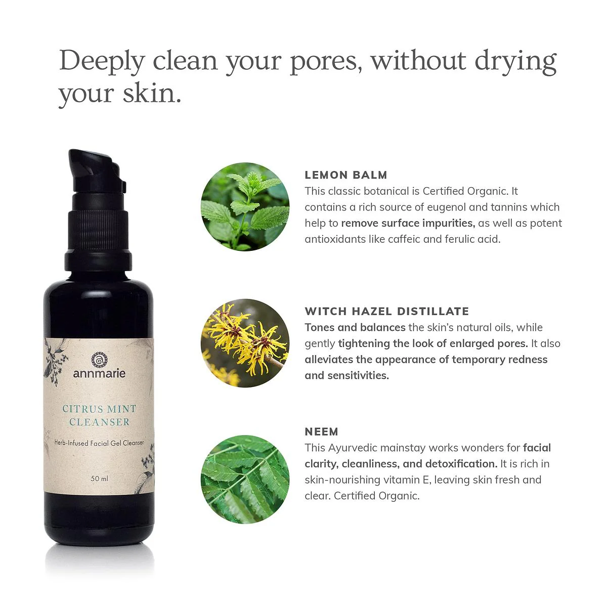 Annmarie Skin Care Citrus Mint Cleanser (50ml) - Image 5