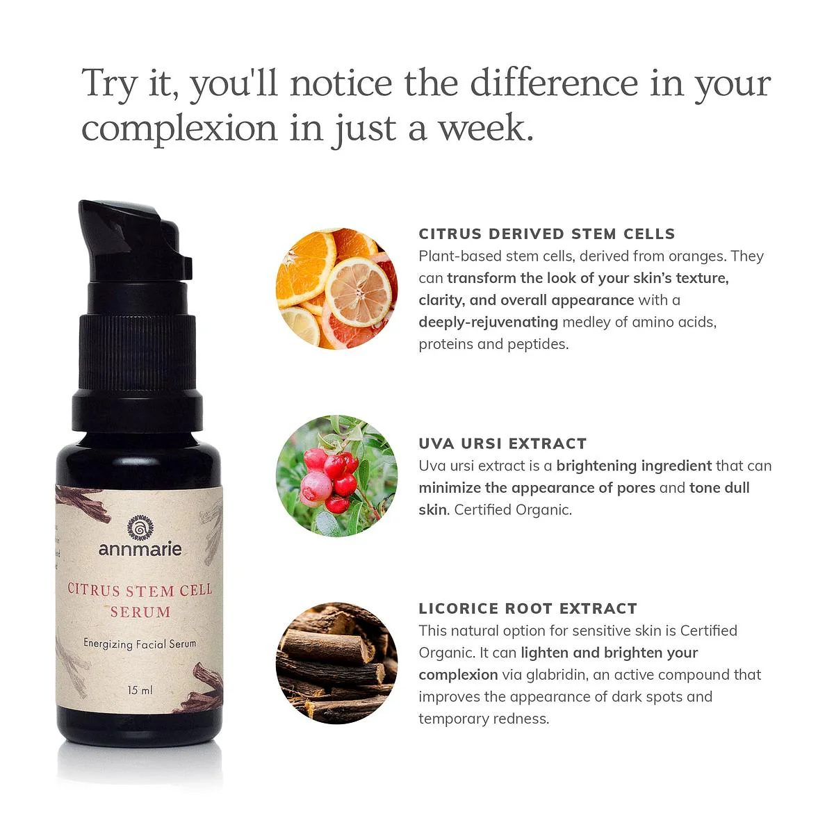Annmarie Skin Care Citrus Stem Cell Serum (15ml) - Image 5