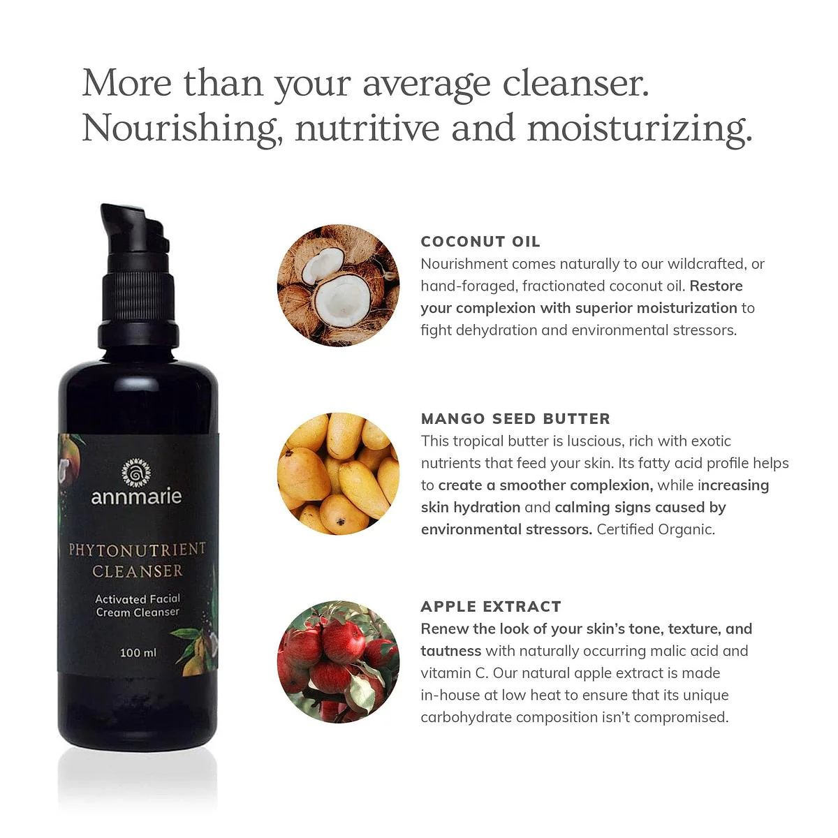 Annmarie Skin Care Phytonutrient Cleanser - Activated Facial Cream Cleanser (100ml) - Image 5