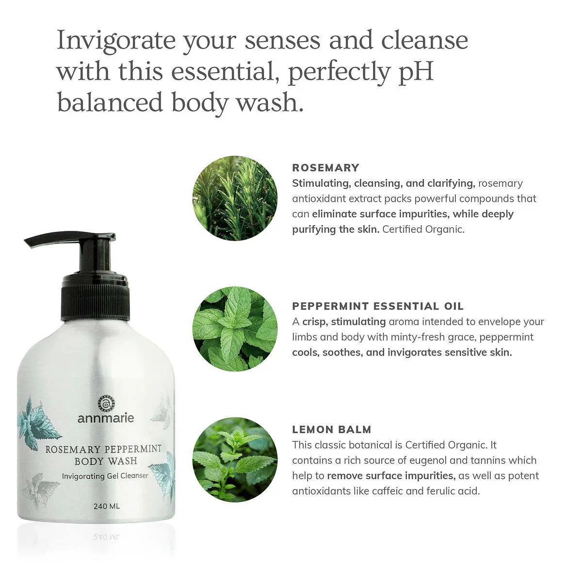 Annmarie Skin Care Rosemary Peppermint Hand & Body Wash (240ml) - Image 7