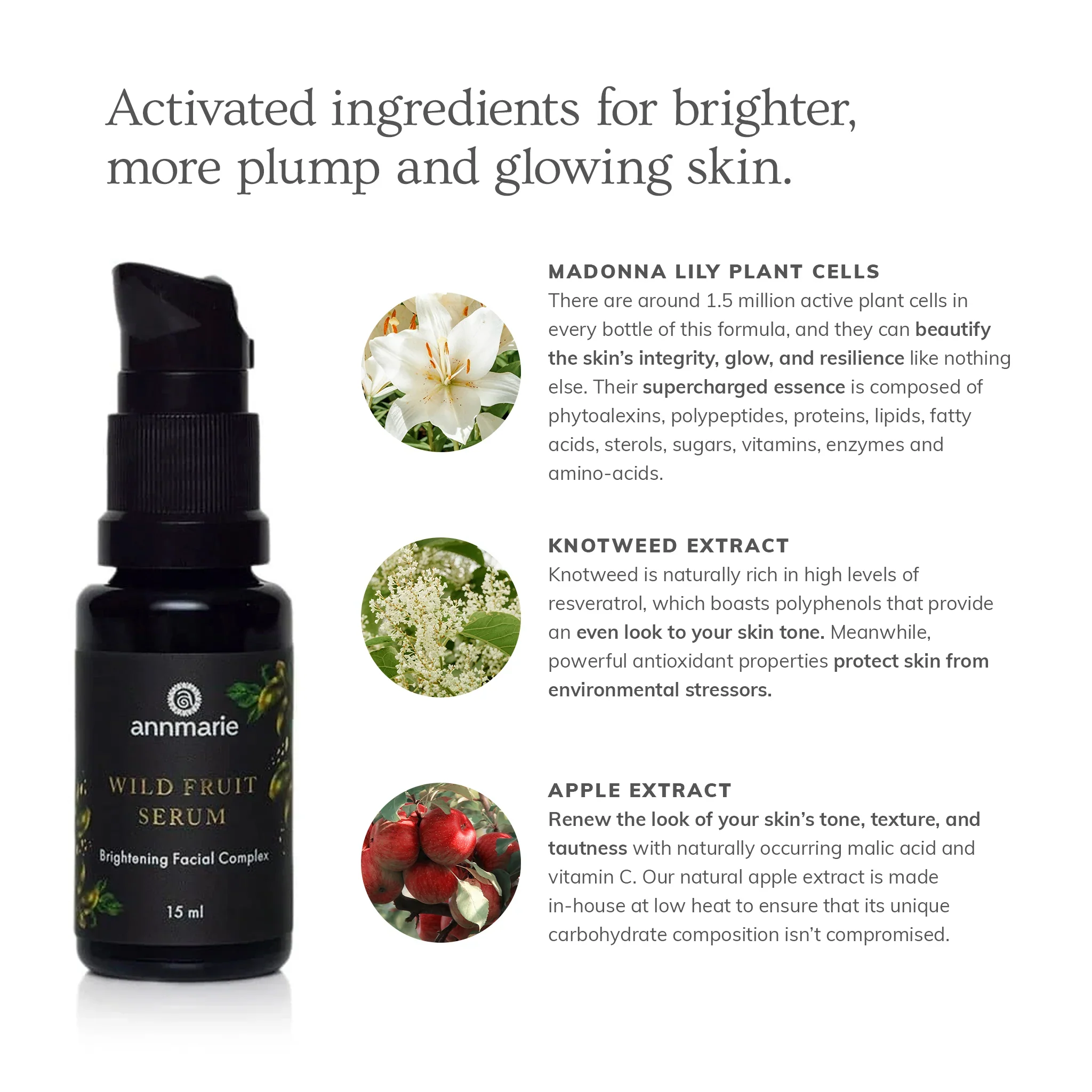 Annmarie Skin Care Wild Fruit Serum - Brightening Facial Complex (15ml) - Image 7
