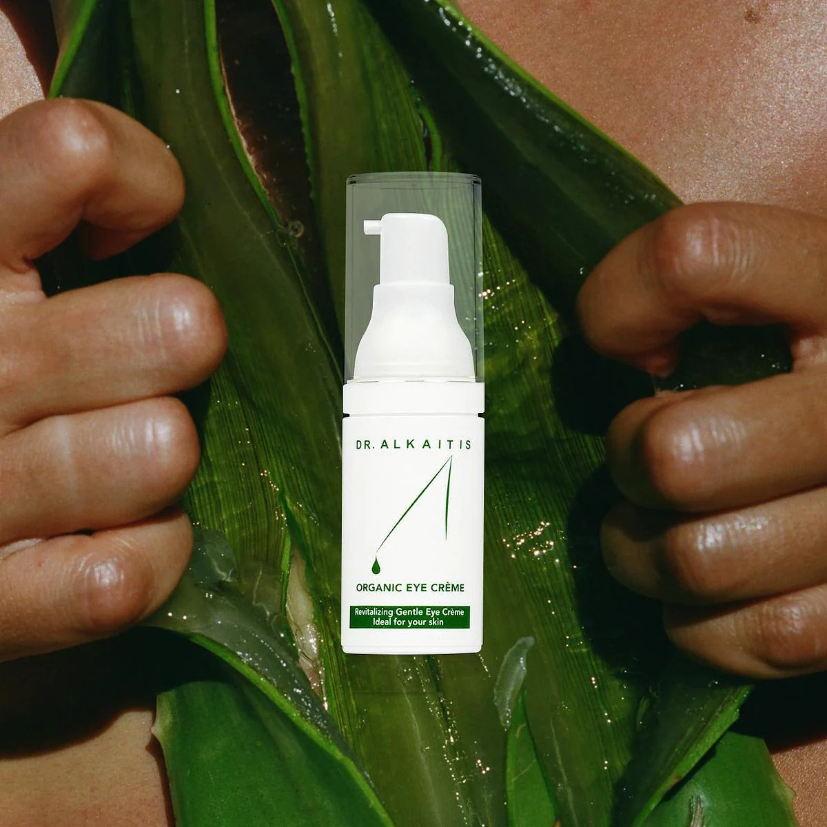 Dr. Alkaitis Organic Eye Cream - Image 3