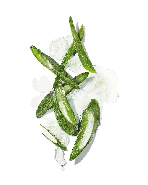Masami Mekabu Hydrating Conditioner - Image 9