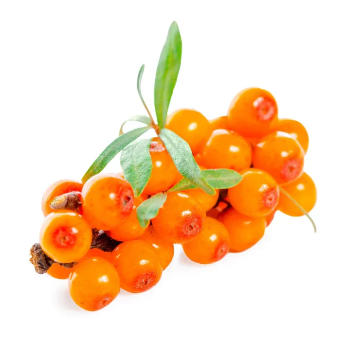 Qualerex Beauty Virgin Organic Seabuckthorn Fruit Oil (Hippophae Rhamnoides) - Image 3